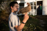10/21/15 – Bagdad, KY – Amy calls out to Andrew at the Keach family farm in Bagdad, Ky. on Wednesday, Oct. 21, 2015. Amy, who's husband's military career leaves her without him for most of the year, started showing goats and selling their kids several years ago.