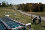 10/22/15 – Bagdad, KY – Amy and Andrew build fencing at the Keach family farm in Bagdad, Ky. on Thursday, Oct. 22, 2015. Amy, who's husband's military career leaves her without him for most of the year, started showing goats and selling their kids several years ago.