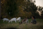 10/22/15 – Bagdad, KY – Amy sits quietly with her goats at the Keach family farm in Bagdad, Ky. on Thursday, Oct. 22, 2015. Amy, who's husband's military career leaves her without him for most of the year, started showing goats and selling their kids several years ago.
