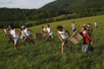 With empty bins in hand Farmers sprinted up the hill towards the manure pile.