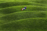 Scotti Sciara, 7 from Salem, N.H. rolls down the grass covered hills that grace the front of the New Balance headquaters on Guest Street.