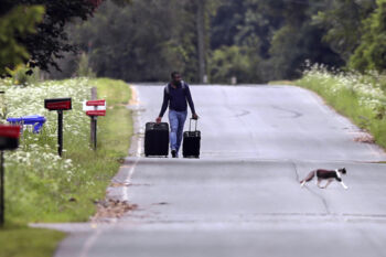 As a cat crosses a rural road, Dulne Brutus, of Haiti, tows his worldly possessions in his luggage down Roxham Road in Champlain, N.Y., while heading to an unofficial border station across from Saint-Bernard-de-Lacolle, Quebec.