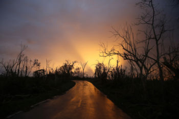 Morovis, Puerto Rico -- 9/30/2017 - On September 20th Hurricane Maria slammed into Puerto Rico killing at least 55 people and leaving millions without power.
Outside of San Juan, signs of Hurricane Maria are everywhere. A countryside once lush has been entirely stripped of its foliage in Morovis.
