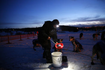 Fort Kent, ME -- 3/4/2017 - For 25 years, intrepid mushers and their teams have completed the more than 200-mile icy loop that makes up the annual Can-Am Crown 250 sled dog race. The Can-Am includes three races: typically 30, 100, and 250 miles. But itÕs the longest race that youÕll hear about on the car radio, with updates slipped between songs as the race unfolds almost entirely out of public view.
A musher mixes hot water with food for her dog team as they rest at the Portage Lake stop during the 2017 Can-Am Crown 209 mile Race. Mushers must be self-sufficient and carry everything that they need with them to take care of their dogs. At the end of the race their sleds are checked to make sure that they're carrying all of the required items to maintain safety for themselves and their dogs.