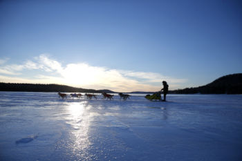 Portage Lake, ME -- 3/5/2017 - Martin Massicotte crosses Portage Lake as the sun begins to rise on the second day of the 2017 Can-Am Crown 209 mile Race. From here Massicotte and his team will run the 54.48 miles to Allagash and then rest for four hours before returning to Fort Kent for the finish.