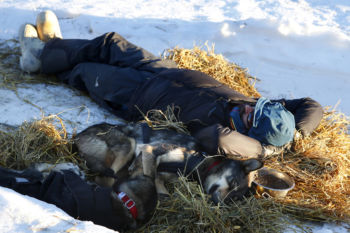 Allagash, ME -- 3/5/2017 - Carl Routhier, of Rouyn-Noranda, Quebec rests with his dogs at the Allagash checkpoint on the second day of the 2017 Can-Am Crown 209 mile Race.