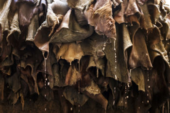 Freshly-softened hides sit on the edge of a well before they are dyed at the Chouara tannery in the Medina in Fes, Morocco on July 29, 2017.