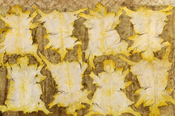Hides are laid out to dry in the heat at the Chouara tannery in the Medina in Fes, Morocco on July 28, 2017.