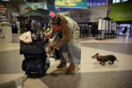 JULY 24, 2019: Sherry Markell of Quebec, Canada, prepares her cat, SaChat, and dog, Dixie Doodle, before boarding a train at South Station in Boston, Mass., United States. The 49-year-old aspiring lifeguard is bound for Hollywood, Fla. - a 35-hour train ride from Boston - to see about a man named Rick.