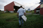 Bloomer, WI, 08/22/2019 -- Mark Boettcher does his morning chores on the farm. Boettcher was forced to give up his dairy cows recently but feels the tariffs Trump is imposing on China are worth the temporary pain. ÒThey are a small part of what we probably need to do, as America, to maintain the lifestyle weÕve had,Ó he said.
But he acknowledged his patience for the tariffs will not last forever.ÒIt needs to be on a timeline,Ó Boettcher said. ÒThat, in my estimation or my opinion, would be the worst-case scenario, if it just continuously goes on and on.Ó