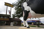 Mauston, WI, 08/21/2019 -- A giant statue of a cow stands outside of Ehlenbach's Cheese Chalet. TrumpÕs promise to restore US trade dominance won him deep support in farm country, which helped him secure his narrow victory in Wisconsin in 2016. As the trade skirmishes Trump has triggered have hurt farmers directly, the presidentÕs message has been simple: Trust me, it will all pay off.