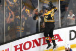 The Boston Bruins host the St. Louis Blues in Game one of the 2019 Stanley Cup Finals at TD Garden. Bruins Charlie Mcvoy celebrates his 2nd period unassisted powerplay goal to tie the game, 2-2.