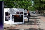 A visitor looks at the exhibit in Copley Square. Photo by Meredith Nierman. A visitor looks at the exhibit in Copley Square. Photo by Meredith Nierman.